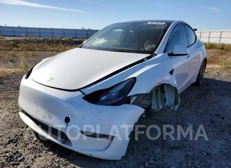 TESLA MODEL Y 2021 vin 5YJYGDEFXMF258309 from auto auction Copart