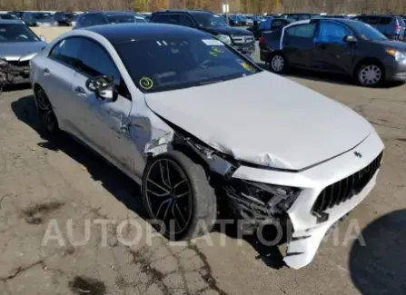 Mercedes-Benz CLS53 AMG 2019 2019 vin WDD2J6BB0KA029282 from auto auction Copart