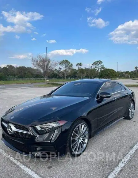 MERCEDES-BENZ CLS 450 2019 vin WDD2J5JBXKA036641 from auto auction Copart