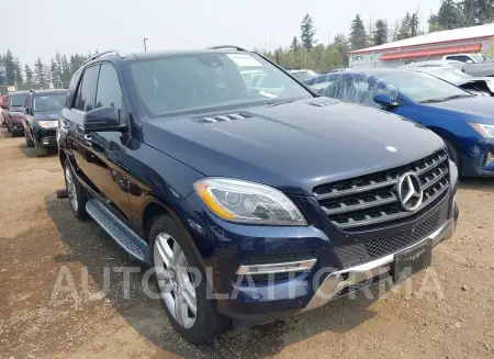 Mercedes-Benz M Class 2015 2015 vin 4JGDA5HB5FA569202 from auto auction Iaai