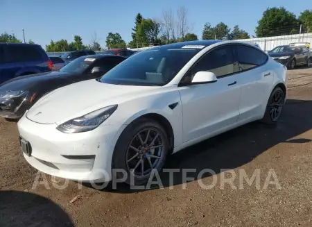 Tesla Model 3 2021 2021 vin 5YJ3E1EA5MF856990 from auto auction Copart