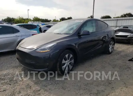 TESLA MODEL Y 2024 vin 7SAYGDEE8RF080062 from auto auction Copart