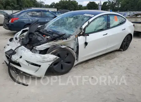 TESLA MODEL 3 2019 vin 5YJ3E1EA1KF314007 from auto auction Copart