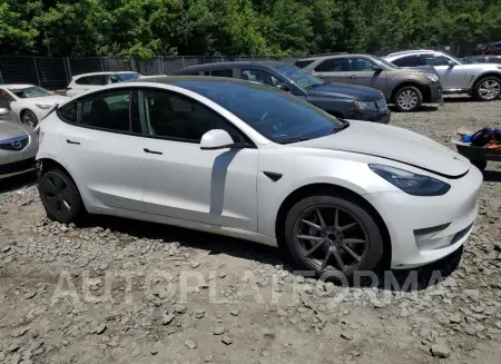 TESLA MODEL 3 2021 vin 5YJ3E1EA2MF851987 from auto auction Copart