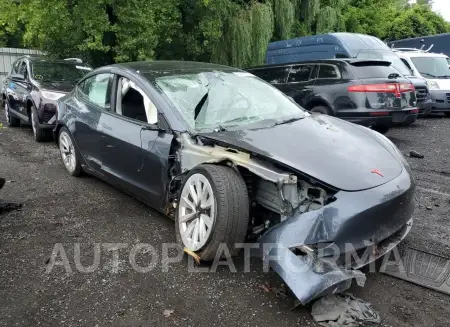 TESLA MODEL 3 2022 vin 5YJ3E1EA2NF303148 from auto auction Copart