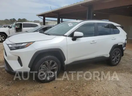 Toyota RAV4 XLE 2024 2024 vin 2T3B6RFVXRW050900 from auto auction Copart