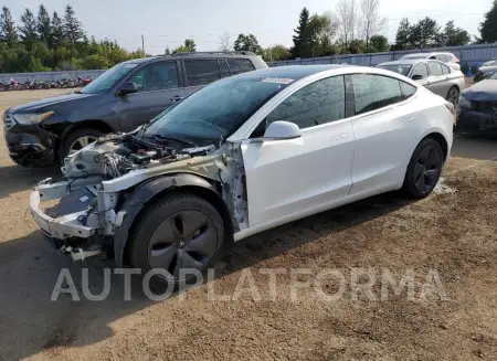 TESLA MODEL 3 2020 vin 5YJ3E1EA4LF529396 from auto auction Copart