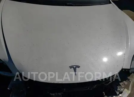 TESLA MODEL 3 2020 vin 5YJ3E1EA2LF806479 from auto auction Copart