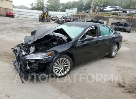 Lexus ES300 2022 2022 vin 58AFA1C16NU024955 from auto auction Copart