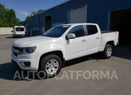 Chevrolet Colorado 2019 2019 vin 1GCGTCEN8K1131475 from auto auction Copart