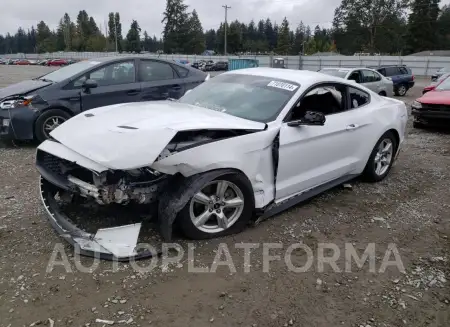 FORD MUSTANG 2019 vin 1FA6P8TH0K5135626 from auto auction Copart