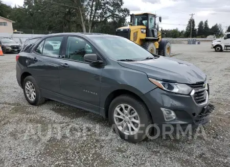 CHEVROLET EQUINOX LS 2019 vin 3GNAXSEVXKS595846 from auto auction Copart