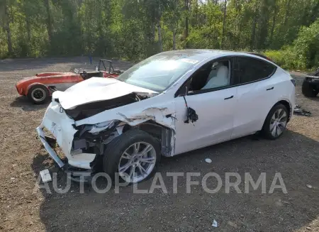 TESLA MODEL Y 2023 vin 7SAYGDEE4PF603140 from auto auction Copart