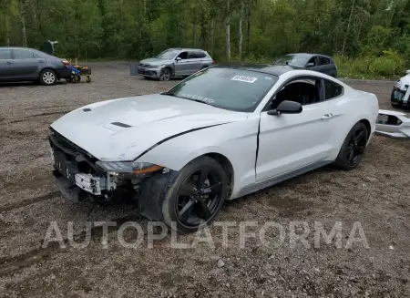 FORD MUSTANG 2021 vin 1FA6P8TH8M5126529 from auto auction Copart