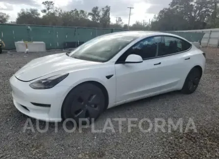 Tesla Model 3 2021 2021 vin 5YJ3E1EA1MF921205 from auto auction Copart