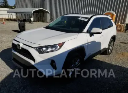 Toyota RAV4 XLE 2020 2020 vin 2T3C1RFV9LC081468 from auto auction Copart