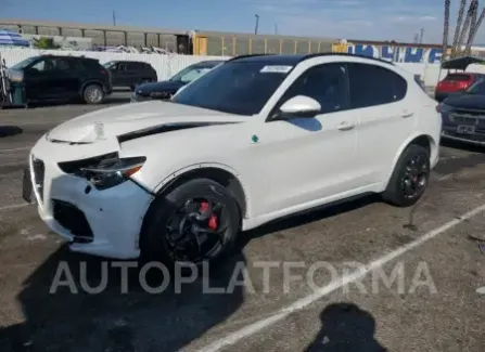 Alfa Romeo Stelvio 2019 2019 vin ZASPAKEV7K7C50283 from auto auction Copart