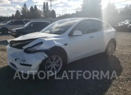 Tesla Model Y 2023 2023 vin 7SAYGDEE4PF810742 from auto auction Copart