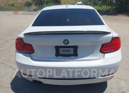 BMW 230I 2019 vin WBA2J1C59KVD09961 from auto auction Iaai