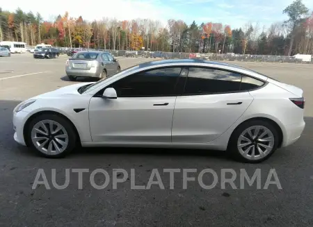 TESLA MODEL 3 2021 vin 5YJ3E1EA7MF030609 from auto auction Iaai