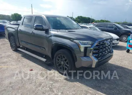 TOYOTA TUNDRA HYBRID 2024 vin 5TFNC5DB5RX058244 from auto auction Iaai