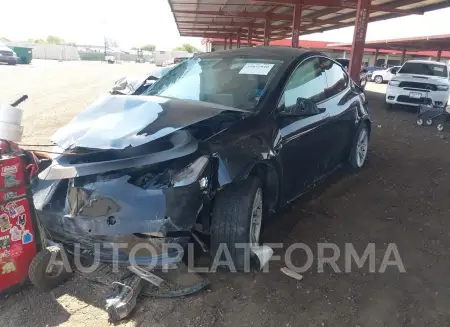 TESLA MODEL Y 2021 vin 5YJYGDEE6MF087498 from auto auction Iaai