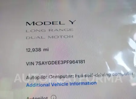 TESLA MODEL Y 2023 vin 7SAYGDEE3PF964181 from auto auction Iaai