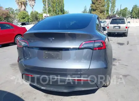 TESLA MODEL Y 2023 vin 7SAYGDEE3PF964181 from auto auction Iaai