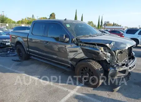 Ford F150 2019 2019 vin 1FTEW1CP2KFA81036 from auto auction Iaai