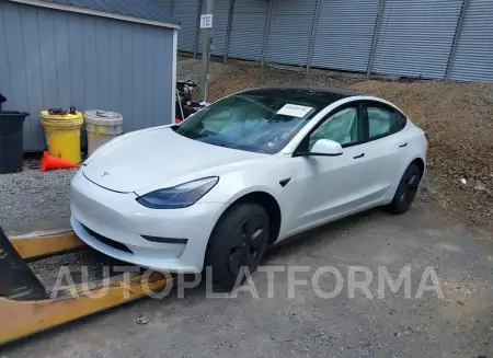 TESLA MODEL 3 2023 vin 5YJ3E1EA4PF432916 from auto auction Iaai