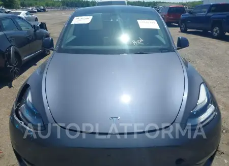 TESLA MODEL Y 2023 vin 7SAYGDEF7PF801042 from auto auction Iaai