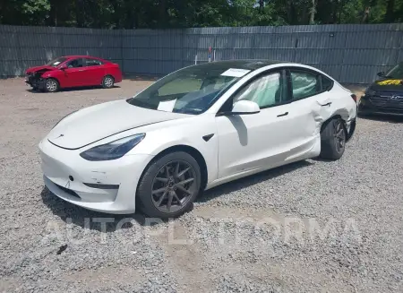 TESLA MODEL 3 2021 vin 5YJ3E1EBXMF034856 from auto auction Iaai