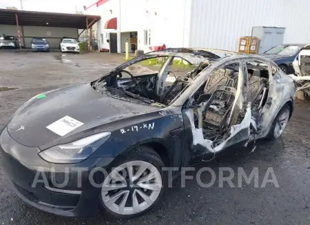 TESLA MODEL 3 2022 vin 5YJ3E1EA6NF303251 from auto auction Iaai