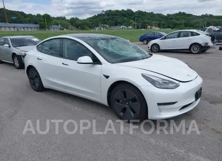 TESLA MODEL 3 2021 vin 5YJ3E1EAXMF976865 from auto auction Iaai