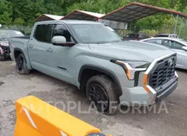 Toyota Tundra 2023 2023 vin 5TFLA5DB2PX076419 from auto auction Iaai