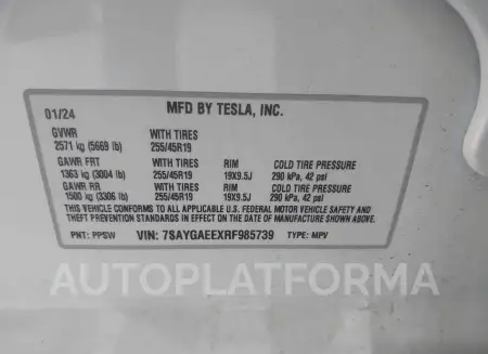 TESLA MODEL Y 2024 vin 7SAYGAEEXRF985739 from auto auction Iaai