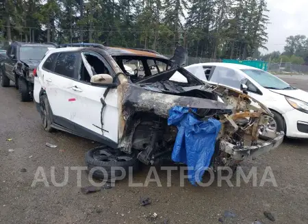 JEEP CHEROKEE 2018 vin 1C4PJLCXXJD621116 from auto auction Iaai