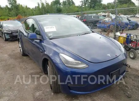 TESLA MODEL Y 2023 vin 7SAYGDEE2PF891160 from auto auction Iaai