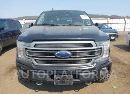 FORD F-150 2019 vin 1FTEW1EG7KFA81059 from auto auction Iaai