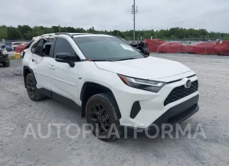 Toyota RAV4 2024 2024 vin 2T3P1RFV6RC399428 from auto auction Iaai