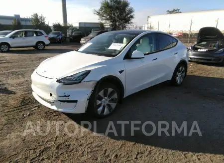 TESLA MODEL Y 2021 vin 5YJYGDEE9MF303439 from auto auction Iaai