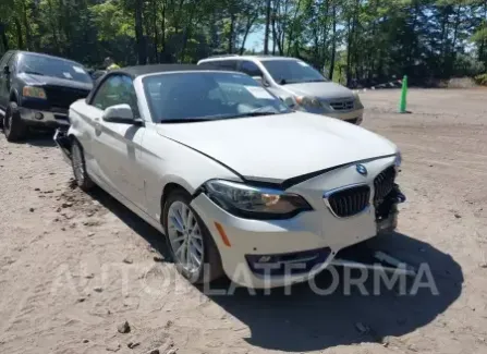 BMW 228I 2016 2016 vin WBA1L9C58GV325481 from auto auction Iaai