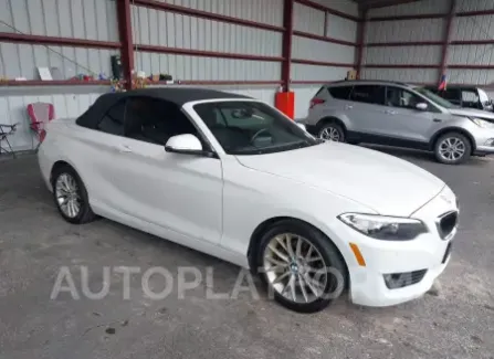 BMW 228I 2015 2015 vin WBA1K7C56FV472632 from auto auction Iaai