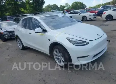 Tesla Model Y 2023 2023 vin 7SAYGDEE3PA146902 from auto auction Iaai