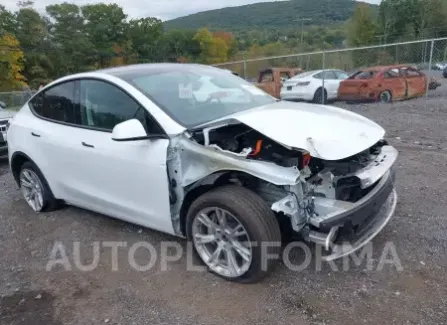 Tesla Model Y 2023 2023 vin 7SAYGDEE9PF823292 from auto auction Iaai