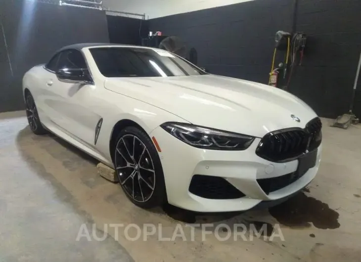 BMW 8 SERIES 2019 vin WBAFY4C56KBX29299 from auto auction Iaai