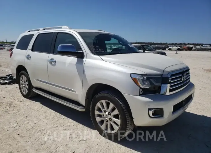 TOYOTA SEQUOIA PL 2019 vin 5TDDY5G1XKS173918 from auto auction Copart