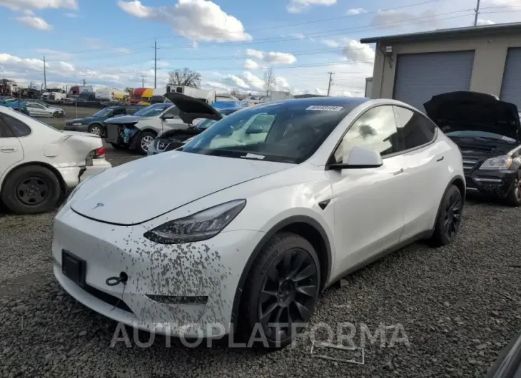 TESLA MODEL Y 2021 vin 5YJYGDEE0MF084483 from auto auction Copart