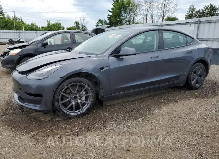 TESLA MODEL 3 2022 vin 5YJ3E1EA5NF250509 from auto auction Copart