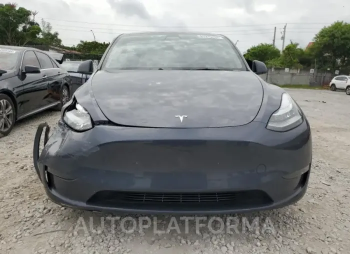 TESLA MODEL Y 2023 vin 7SAYGDEE5PA026115 from auto auction Copart